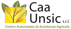 Logo CAA Unsic